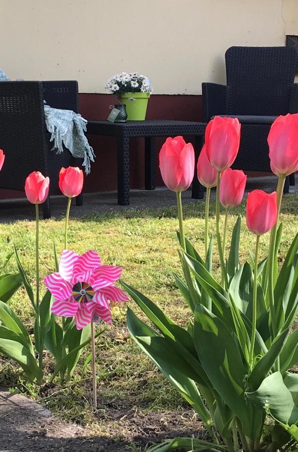 Casa Marherita Appartman Hajdúszoboszló Eksteriør bilde