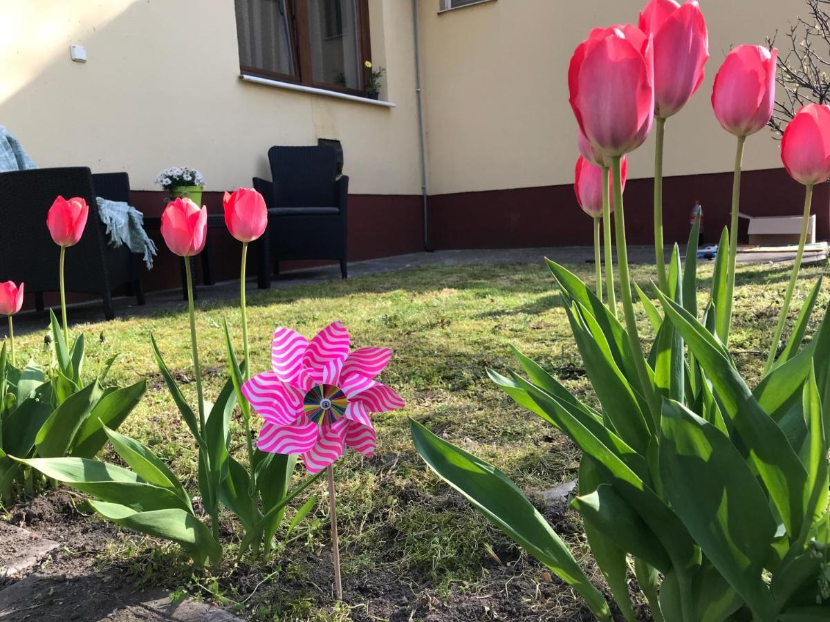 Casa Marherita Appartman Hajdúszoboszló Eksteriør bilde